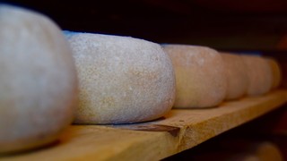 milk-1282265_1920.jpg