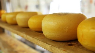 cheese-2785_1920.jpg