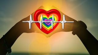 heart-1616463_1280.jpg