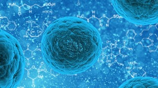 Pixabay_bacteria-163711_1280.jpg