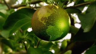 Pixabay_sustainability-3300898_1920.jpg